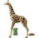 Playmobil Wiltopia Žirafa