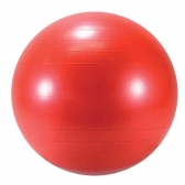 Ledrapastic Lopta Body ball 55 cm